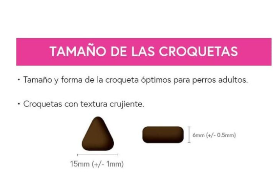 ADULTO - Cordero británico alimentado con pasto y menta, granada - Image 3